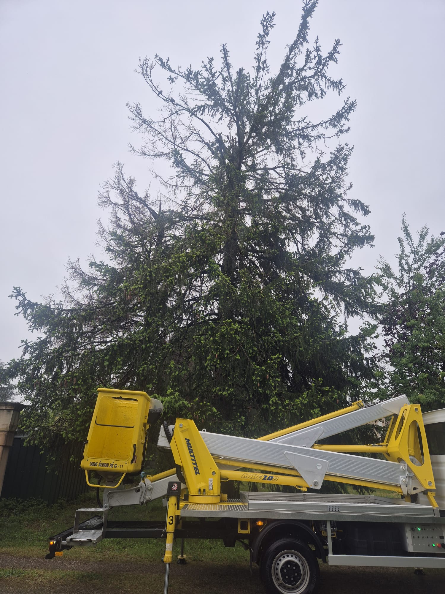 Réalisation JV espaces verts 5