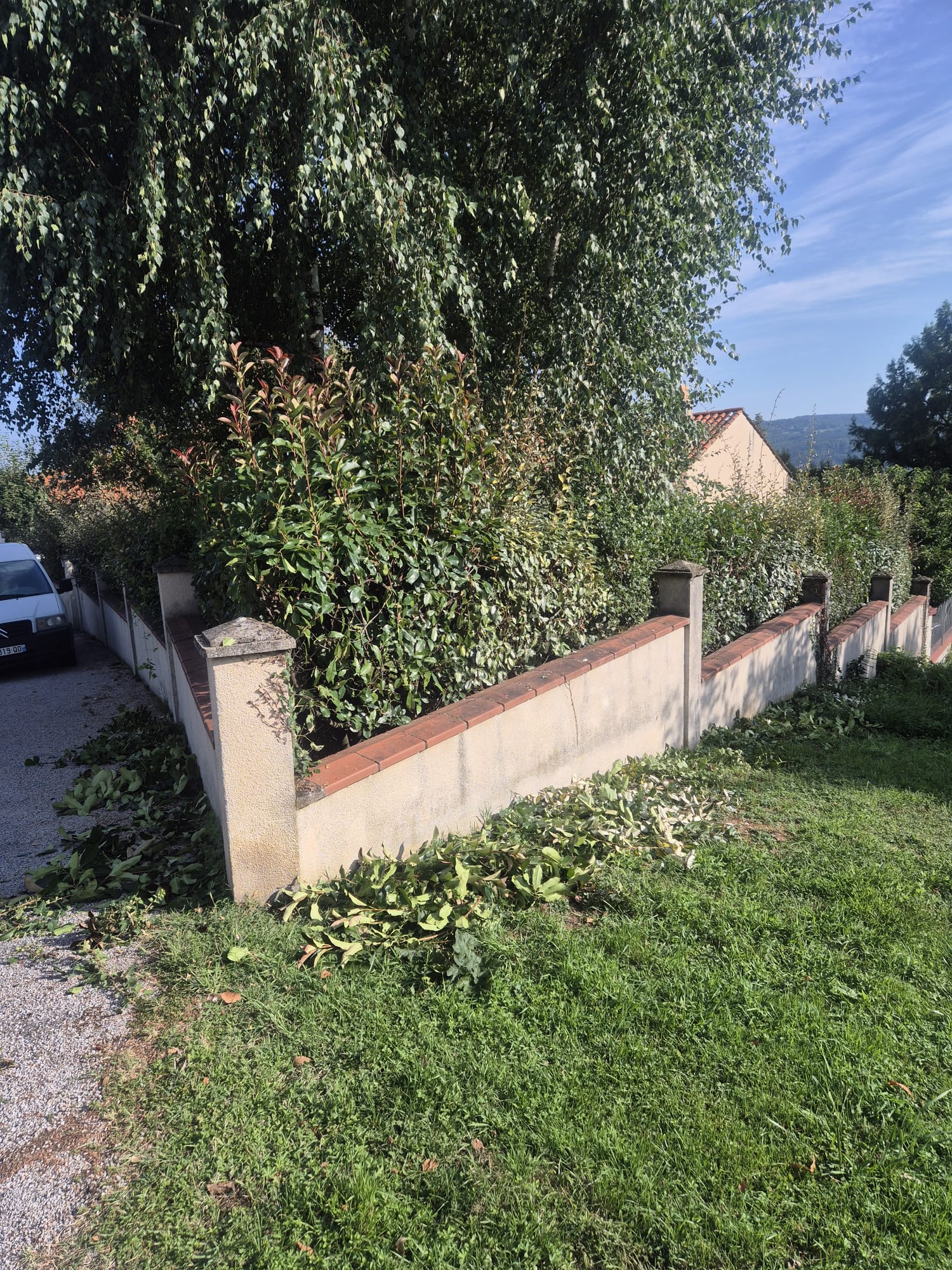 Réalisation JV espaces verts 14