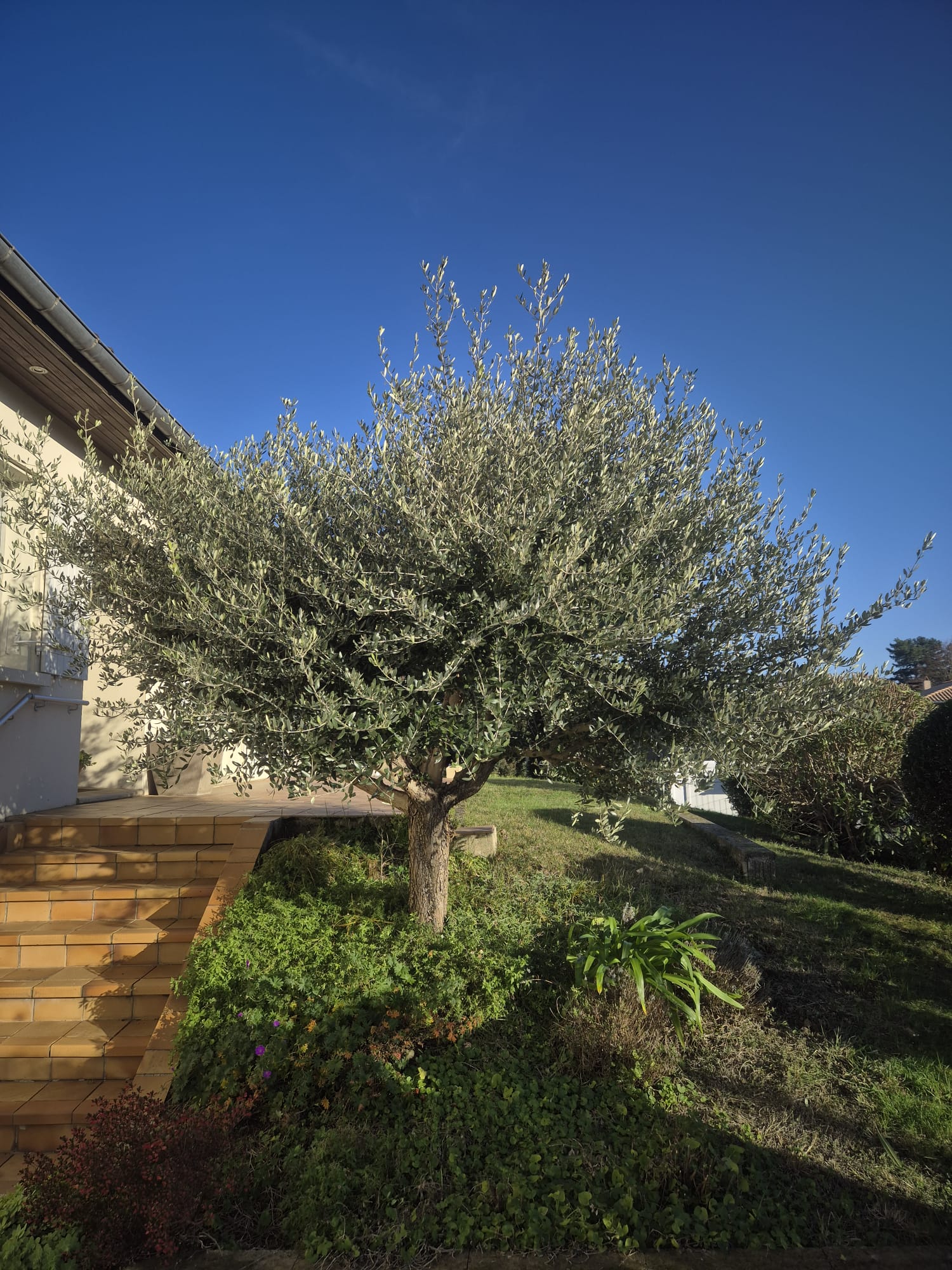 Réalisation JV espaces verts 23