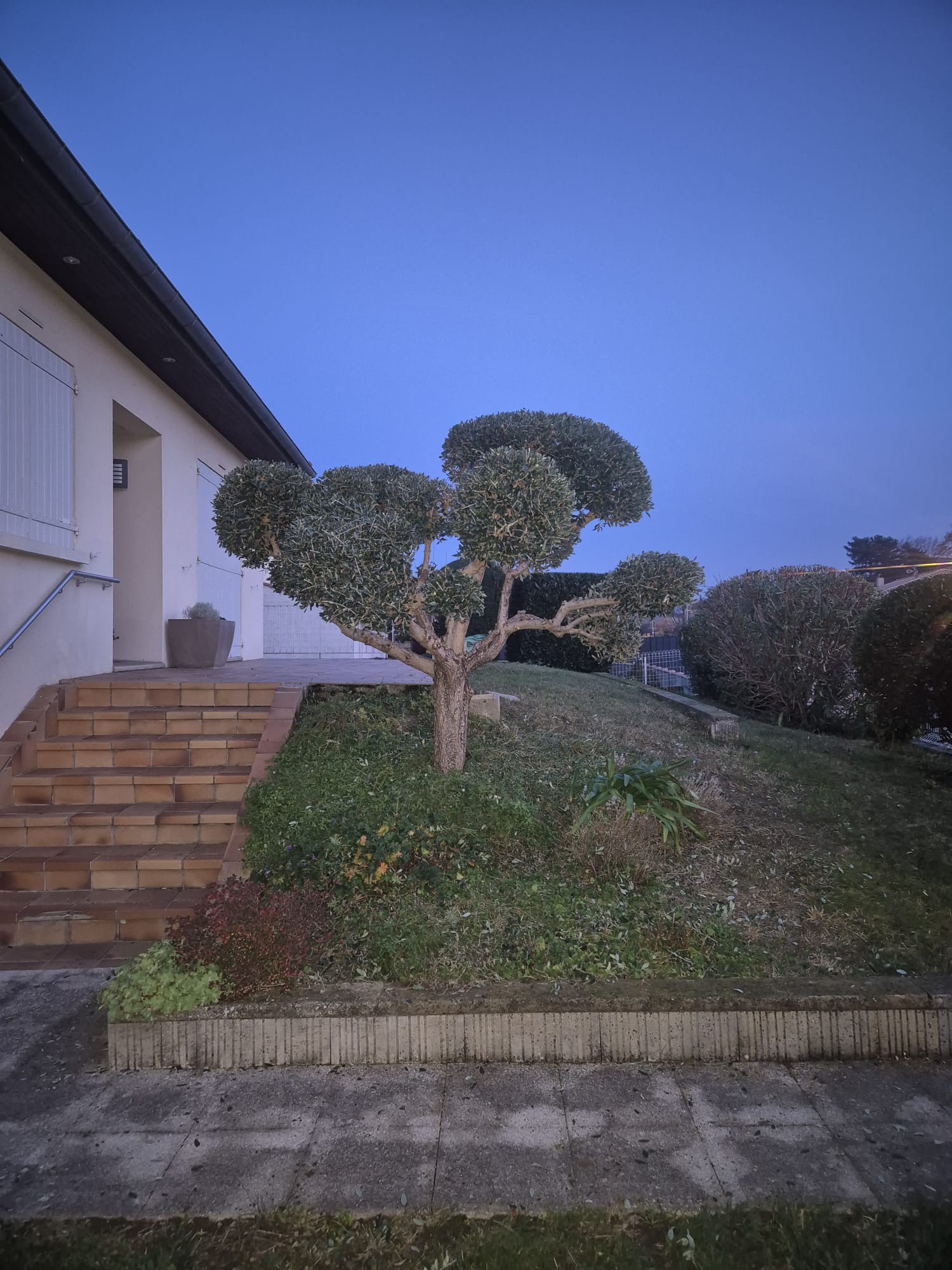 Réalisation JV espaces verts 25