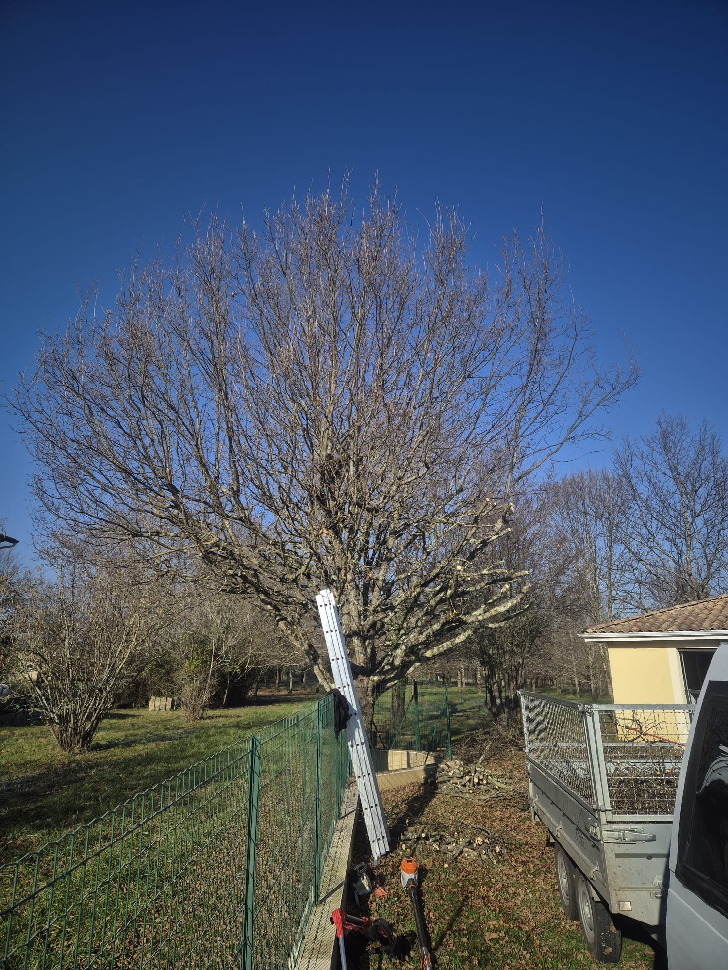 Réalisation JV espaces verts 29