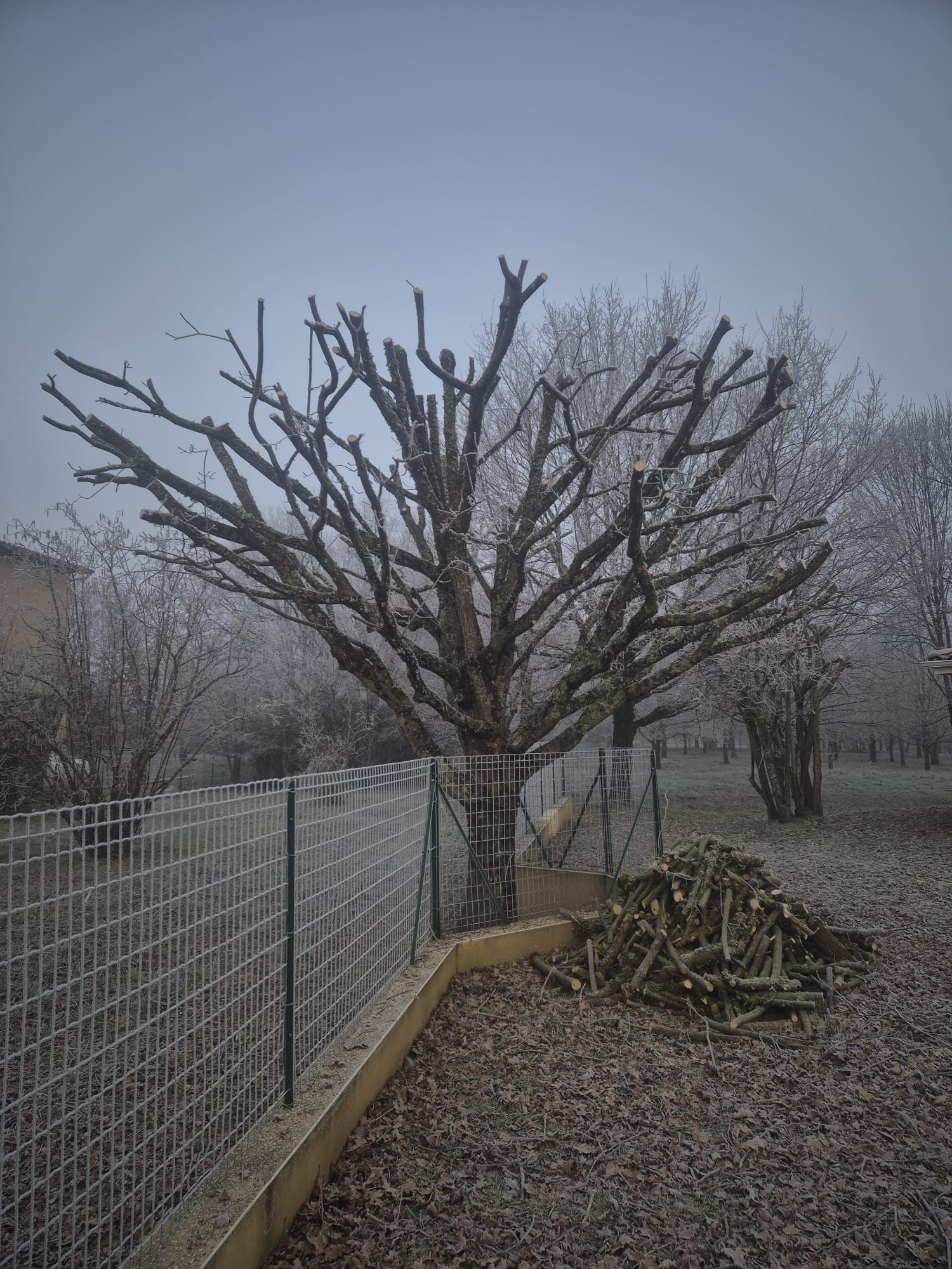 Réalisation JV espaces verts 30