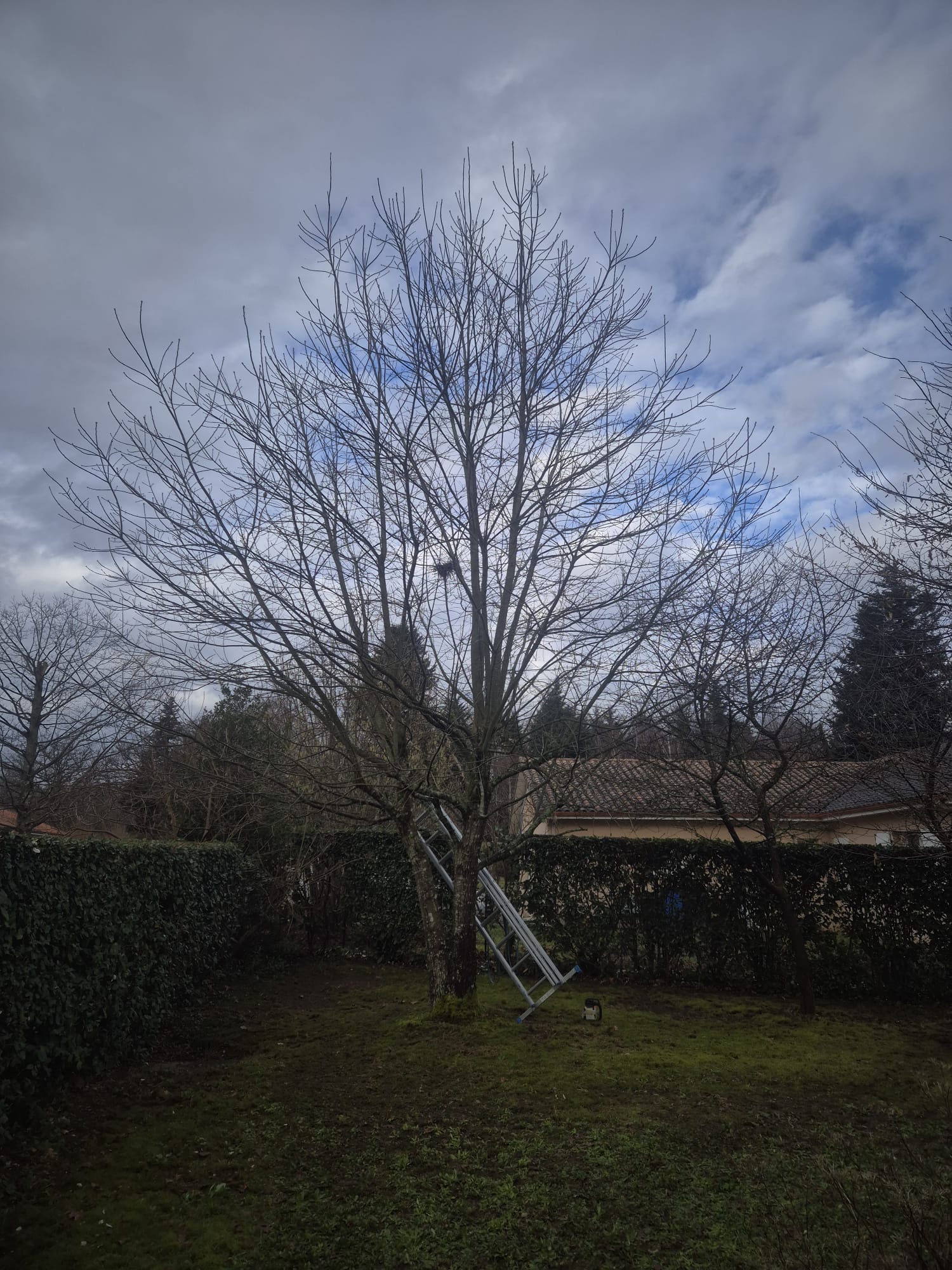 Réalisation JV espaces verts 31