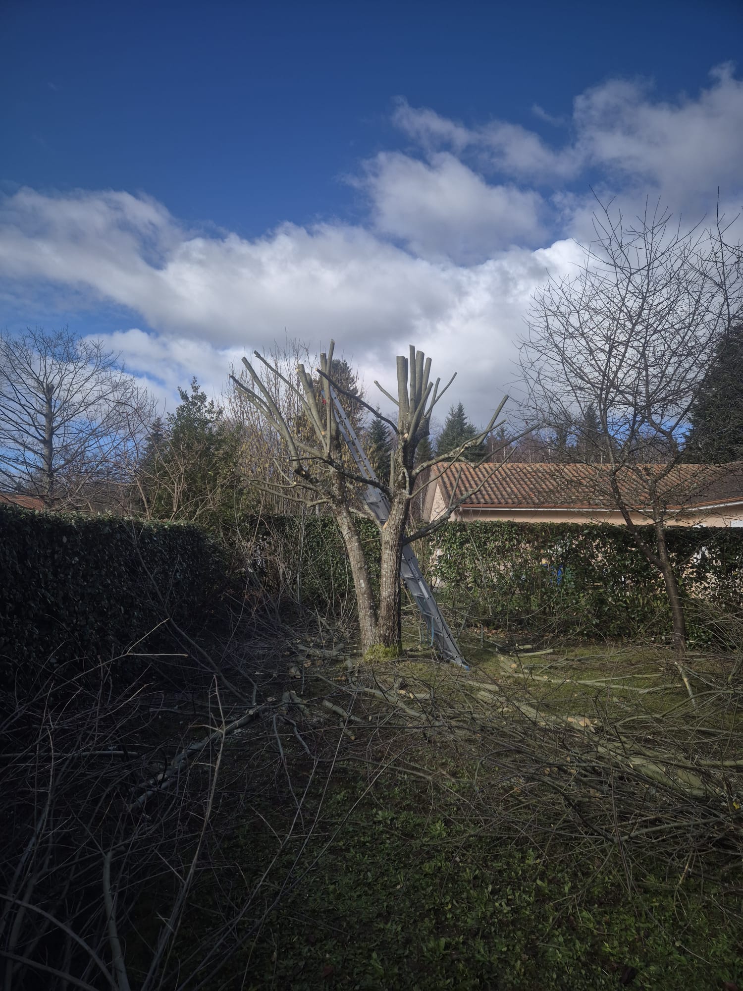 Réalisation JV espaces verts 32