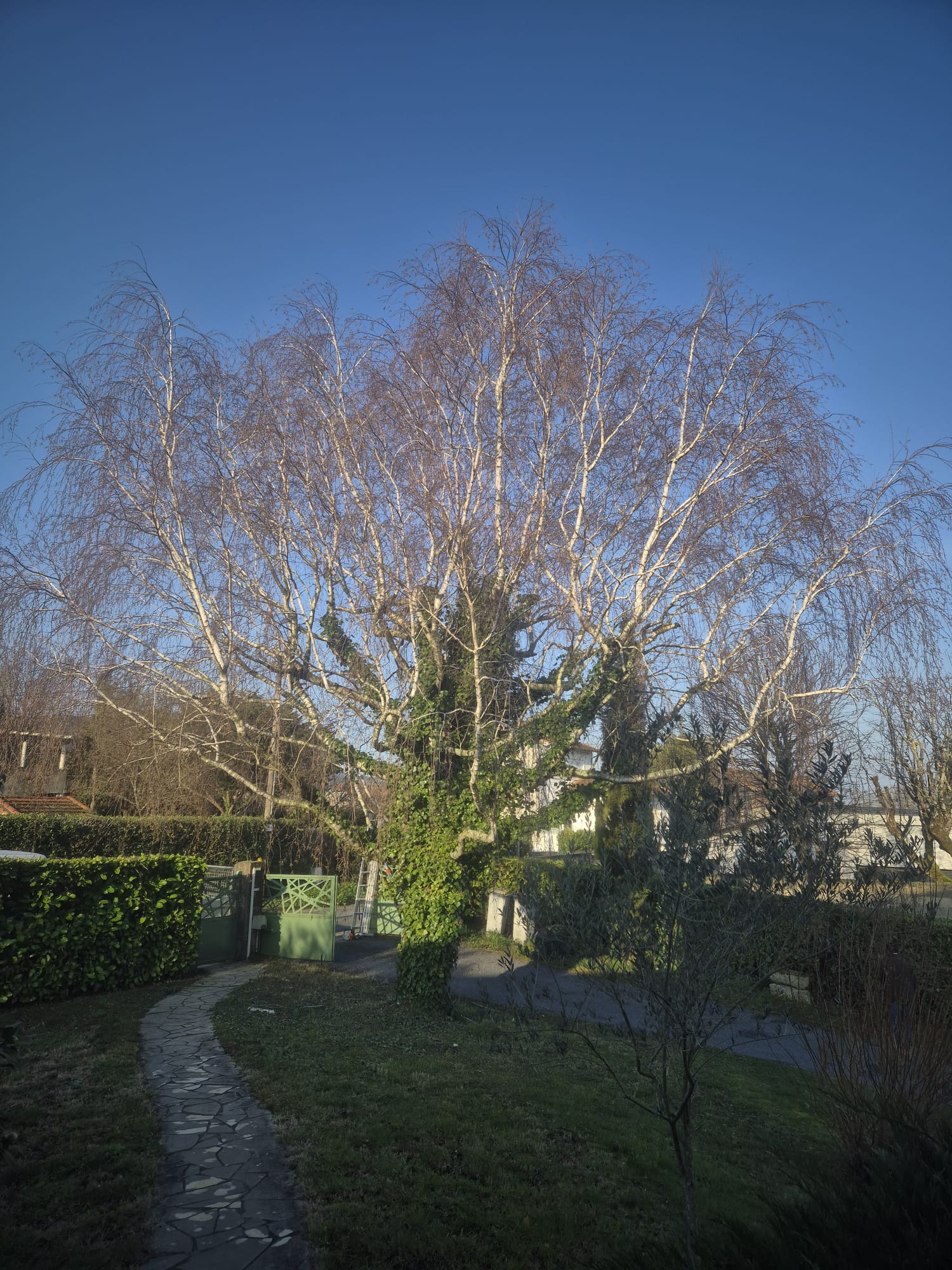 Réalisation JV espaces verts 36