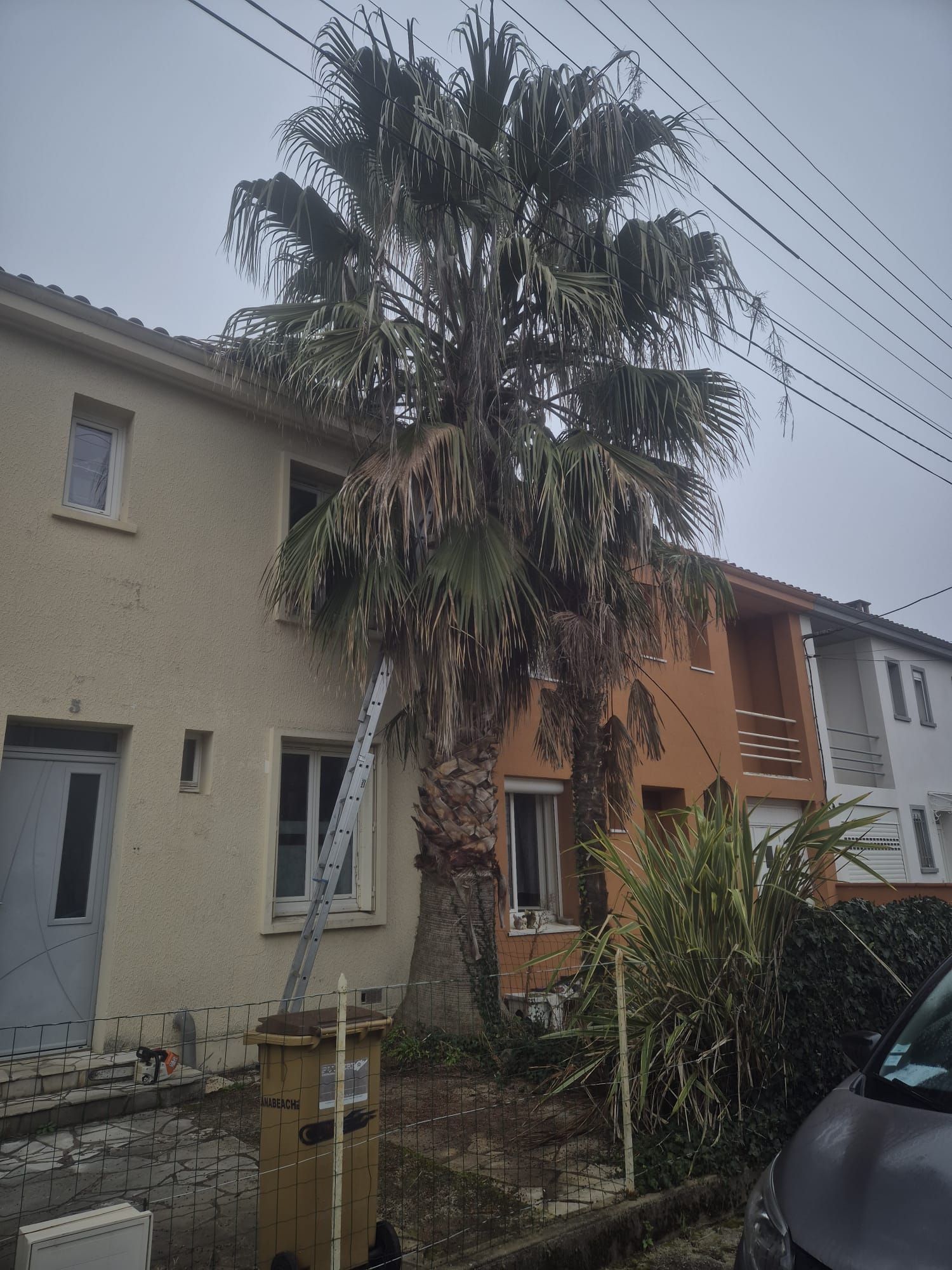 Réalisation JV espaces verts 38