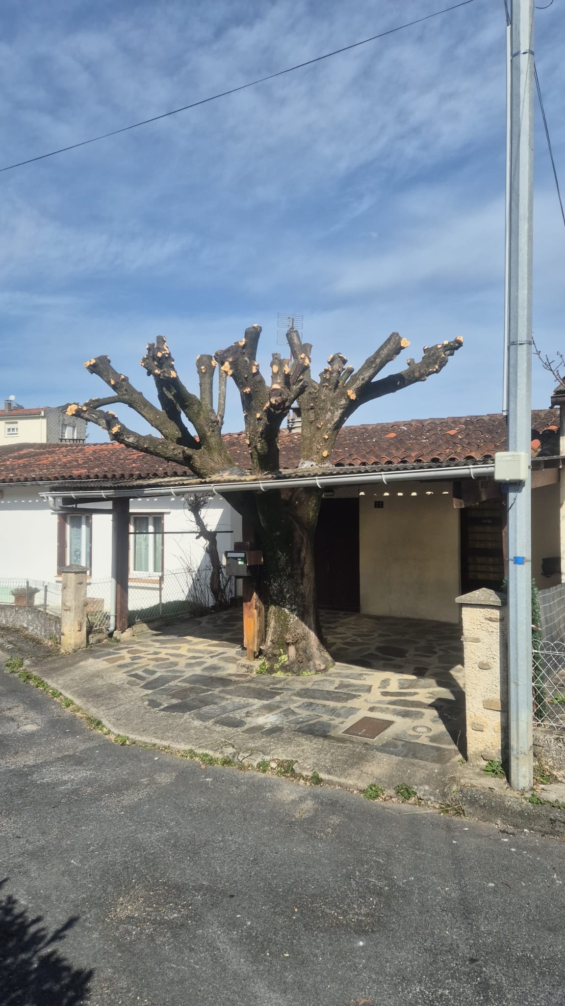 Réalisation JV espaces verts 39