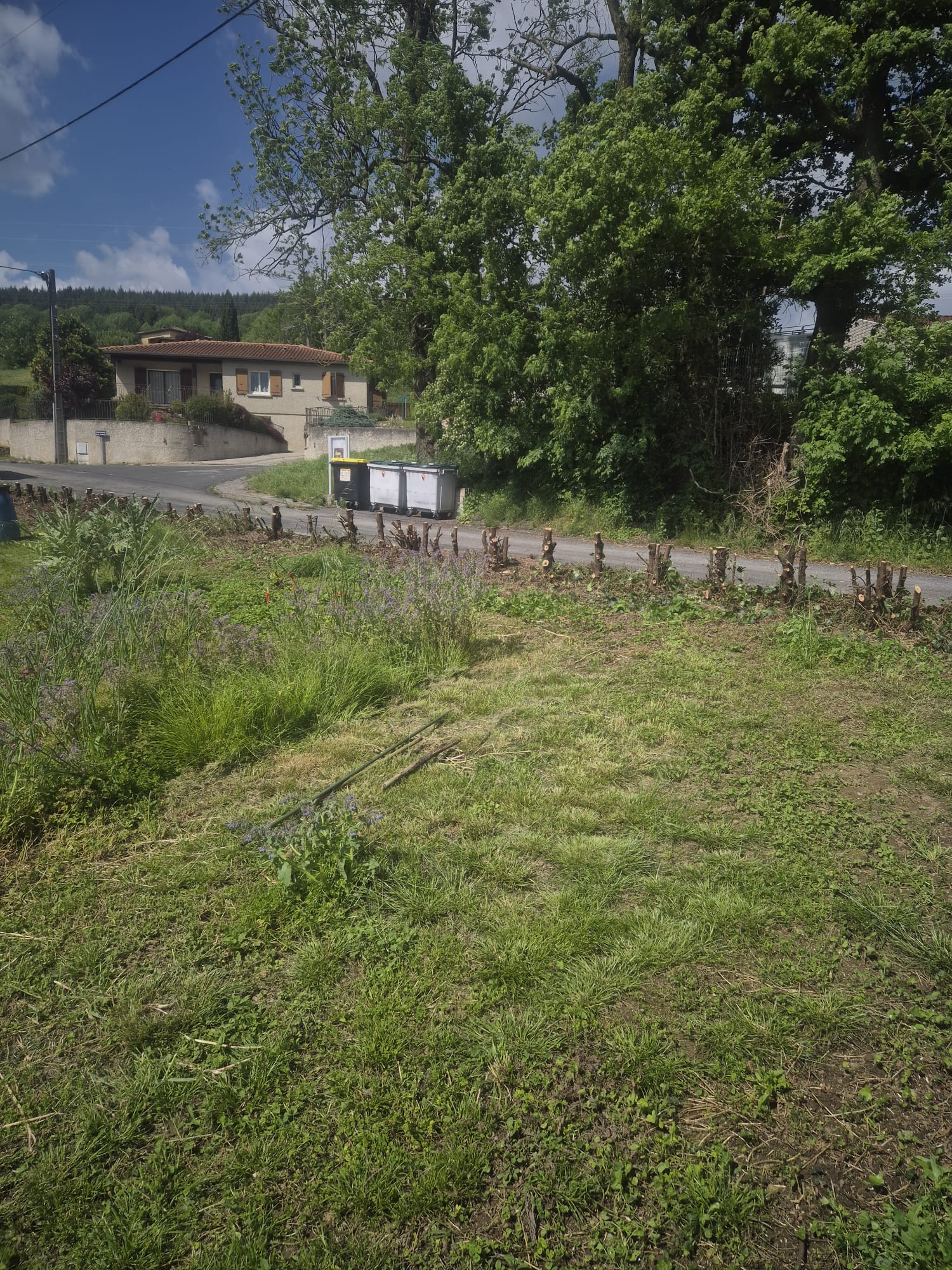 Réalisation JV espaces verts 41