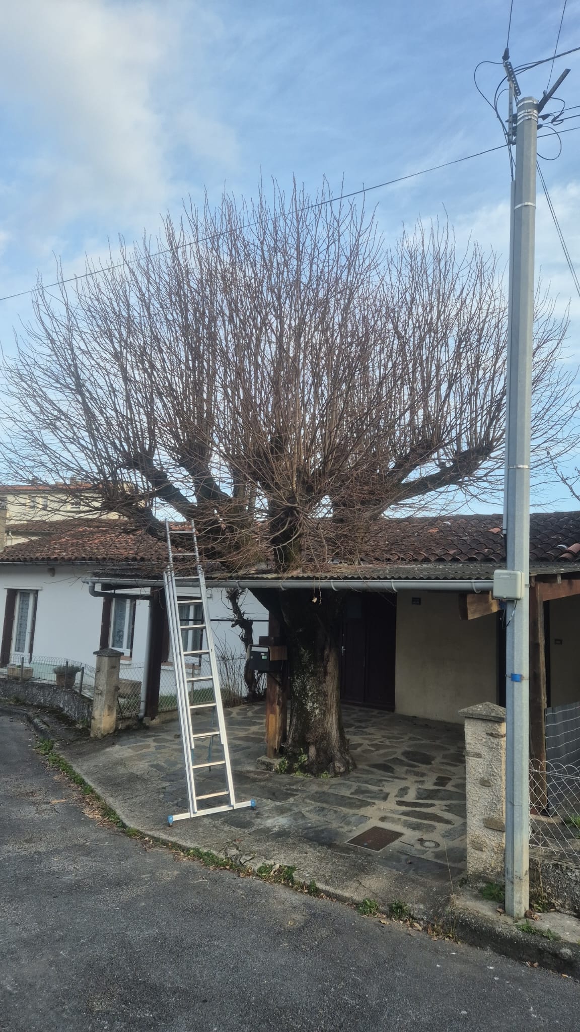 Réalisation JV espaces verts 43