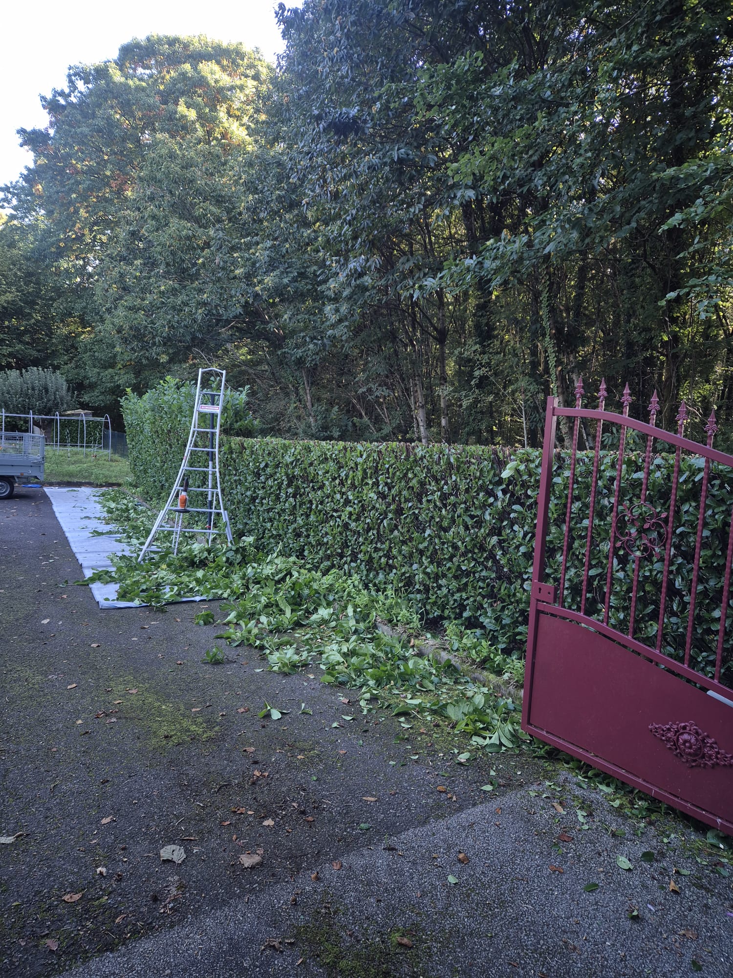 Réalisation JV espaces verts 45