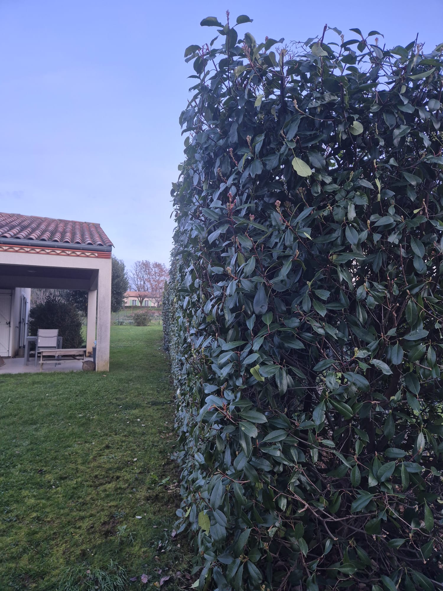 Réalisation JV espaces verts 52